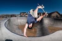  Skyler Sorenson - Lehi Utah Egg Plant